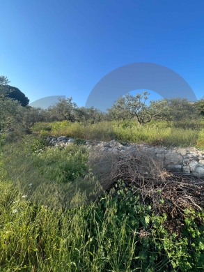 LAND/ Rihaneh, Jbeil/ peaceful area/ريحانة/ REF#NI136501 ! — 6