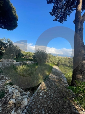 LAND/ Rihaneh, Jbeil/ peaceful area/ريحانة/ REF#NI136501 ! — 3