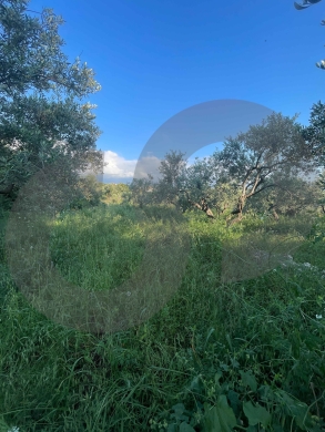 LAND/ Rihaneh, Jbeil/ peaceful area/ريحانة/ REF#NI136501 ! — 2