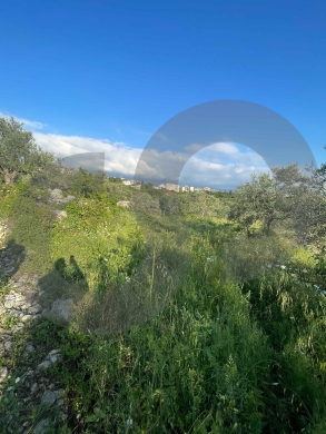 LAND/ Rihaneh, Jbeil/ peaceful area/ريحانة/ REF#NI136501 ! — 5
