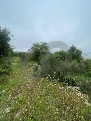 open view, great deal, jbeil, Abaydat/عبيدات REF#NI136503 — 4