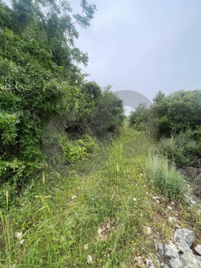open view, great deal, jbeil, Abaydat/عبيدات REF#NI136503 — 2