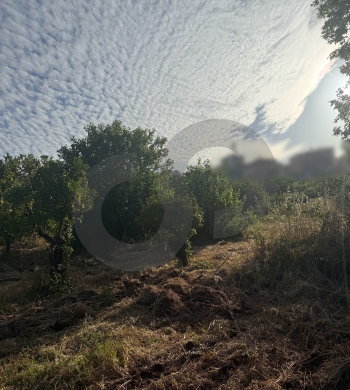 negotiable, panoramic view, zgharta/زغرتا REF#YN136415 — 2