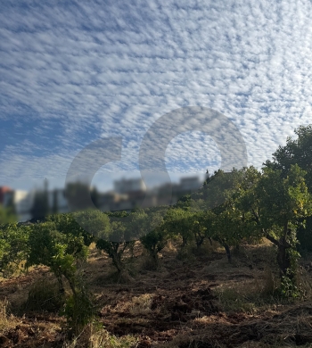 negotiable, panoramic view, zgharta/زغرتا REF#YN136415 — 3