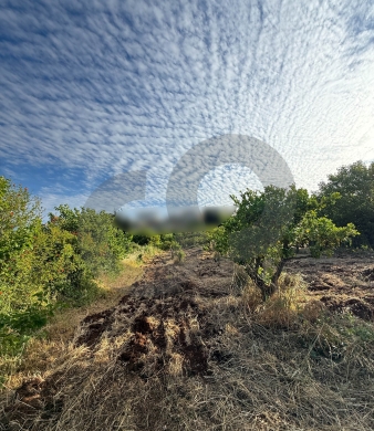 negotiable, panoramic view, zgharta/زغرتا REF#YN136415 — 4