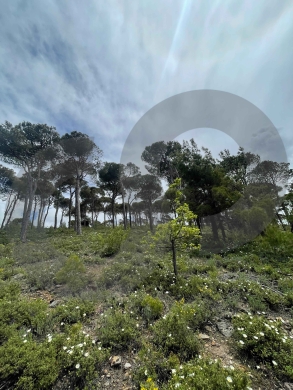 LAND/Bmohray/Aley/بمهريه /high-potential project / REF#OK136358 ! — 5