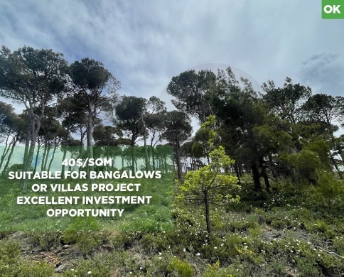 LAND/Bmohray/Aley/بمهريه /high-potential project / REF#OK136358 !