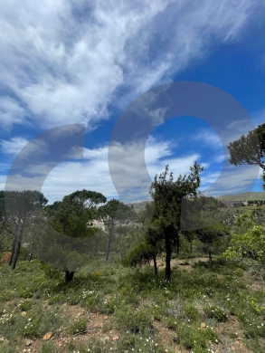 LAND/Bmohray/Aley/بمهريه /high-potential project / REF#OK136358 ! — 3