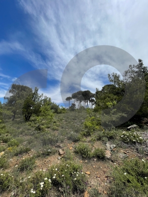 LAND/Bmohray/Aley/بمهريه /high-potential project / REF#OK136358 ! — 8