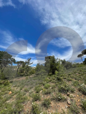 LAND/Bmohray/Aley/بمهريه /high-potential project / REF#OK136358 ! — 11