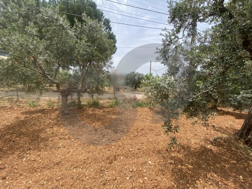 Mountain view, prime area, kferyachit-Zgharta/كفرياشيت REF#MT136321 — 3