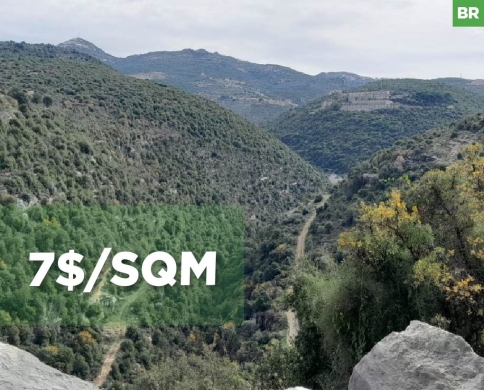 prime location, great deal, Assia, Batroun/آسيا REF#BR135885