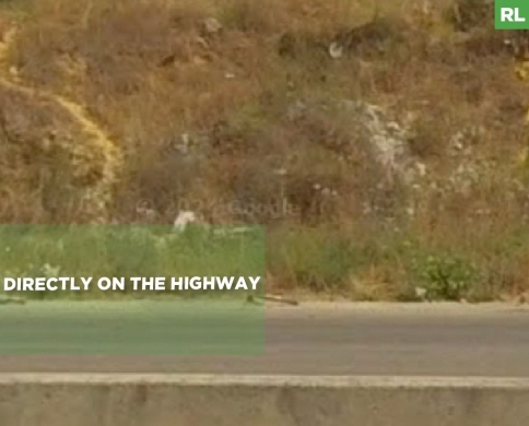 on the Highway ,Tripoli, Qalamoun/طرابلس - القلمون REF#RL135785