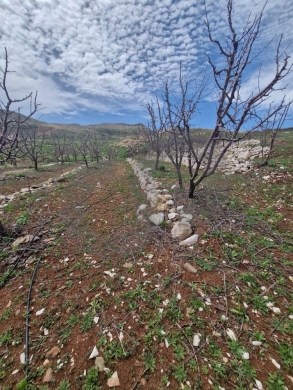 Beautiful Open Mountain View,Aaqoura/عاقورة REF#RG135756 — 2