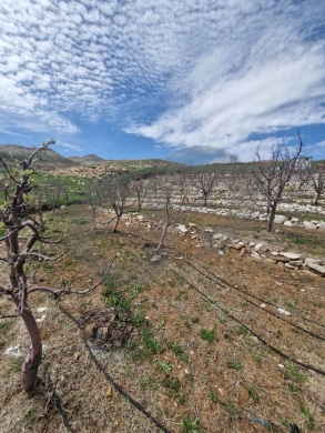 Beautiful Open Mountain View,Aaqoura/عاقورة REF#RG135756 — 3