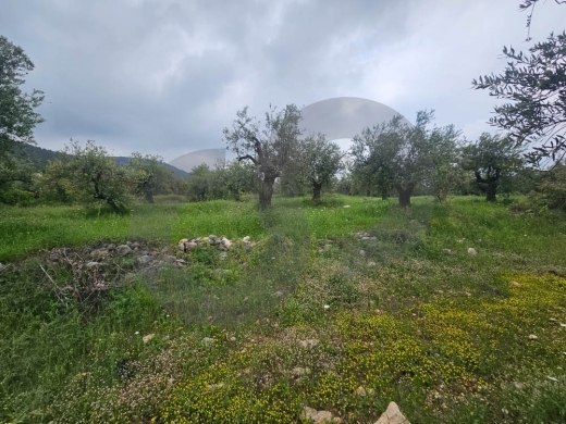 Directly on the Highway ,80 meter façade,Zgharta /زغرتا REF#PC135599 — 3