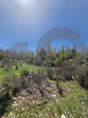 LAND/أرض /Mechmech/مشمش /Zoning 25/50/ REF#RG135586 !