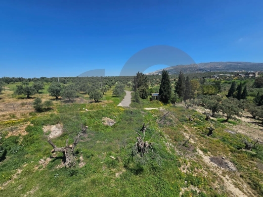 Pool & Private Garden 400sqm, Akbeh Zgharta /عقبة زغرتا REF#PC135418 — 10