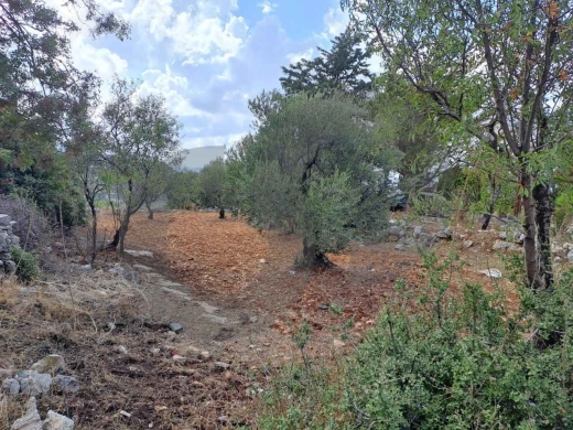 LAND/Derbilla/ Batroun/دربلا – البترون/investment project REF#YC135309 — 2