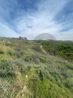 Direct Access From Highway, Full Sea view, Monsef/منصف REF#NI135297 — 5