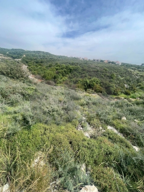 Direct Access From Highway, Full Sea view, Monsef/منصف REF#NI135297 — 4