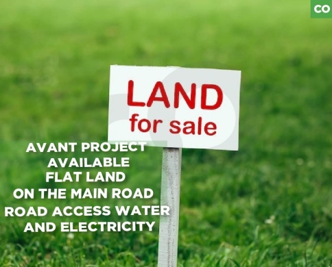 On the main road, Flat land ,On the main road, Bouar/بوار REF#CO135274