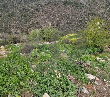 Mountain View, 200$/SQM, Ras Osta/ راس قسطا REF#RG135153 — 3