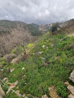 Mountain View, 200$/SQM, Ras Osta/ راس قسطا REF#RG135153 — 2