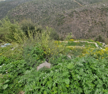 Mountain View, 200$/SQM, Ras Osta/ راس قسطا REF#RG135153 — 4