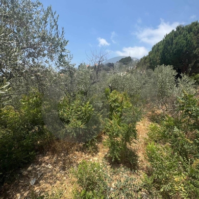 suitable for standalone house, great view,Monsef/المنصف REF#WR135032 — 4