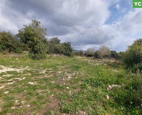 Great deal, prime area, Gharzouz, Jbeil/غرزوز REF#YC134873