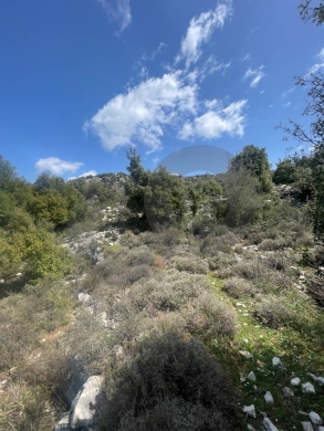 Ideal For a Villa Project , Open View ,Mechmech/مشمش REF#NI134853