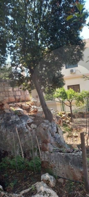 Traditional Lebanese house/Nakhleh/Koura/نخلة/BALCONY/ REF#RL134499 ! — 3