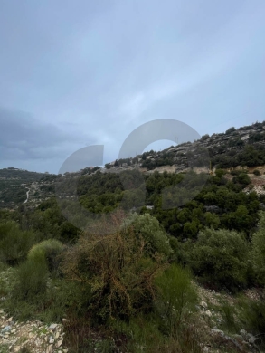 Directly On The Main Road, Hadtoun -Batroun/حدتون، البترون REF#NI134425 — 5