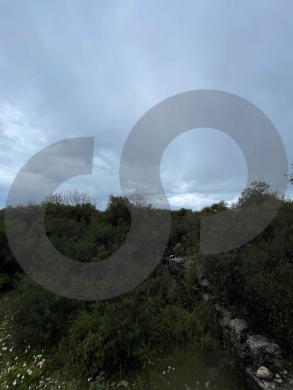1000 sqm land for sale in Bejjeh/بيجه/Open View/REF#NI134423 ! — 6