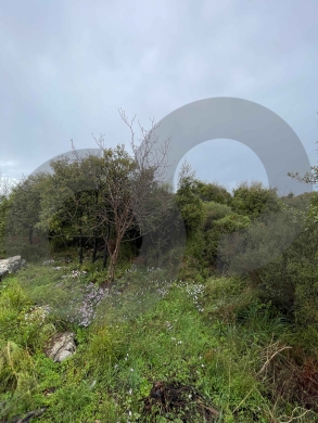 1000 sqm land for sale in Bejjeh/بيجه/Open View/REF#NI134423 ! — 5