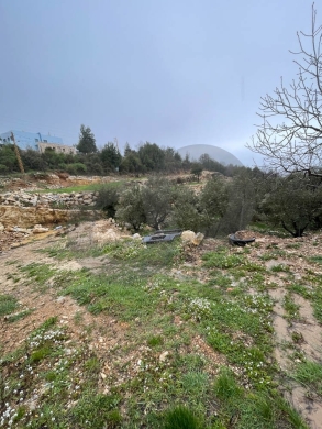 Location with mountain views , Ram-Batroun/ رام- البترون REF#NI134422 — 4
