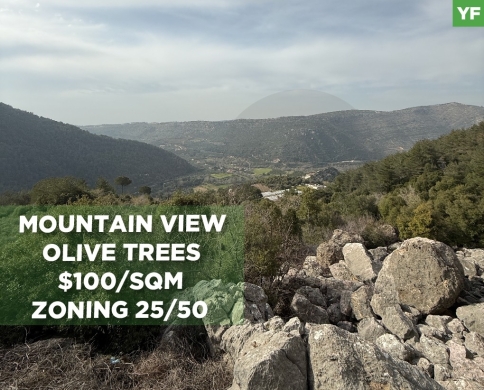 Prime Land for Sale in Bisri, Jezzine District/بسري ,جزين REF#YF134310