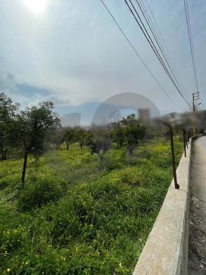 great deal, prime area, el merdashiyeh, zgharta/زغرتا REF#YN133985 — 2