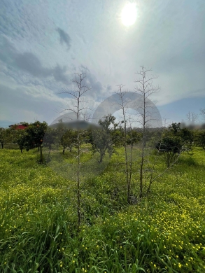 great deal, prime area, el merdashiyeh, zgharta/زغرتا REF#YN133985 — 3