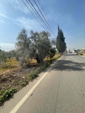 great deal, prime location, zgharta, Rashiine/رشعين REF#YN133885 — 2