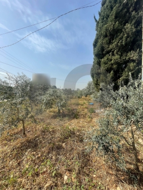 great deal, prime location, zgharta, Rashiine/رشعين REF#YN133885 — 3