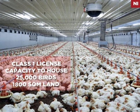 Fully equipped and operational,poultry farm, Jbeil /جبيل REF#NI133828