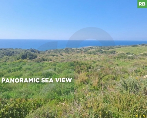 A beautiful plot of land, available in Jeddayel/جدييل REF#RB133795