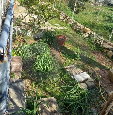 studio, garden, parking, near the beach, Jbeil /جبيل REF#RS133635 — 6