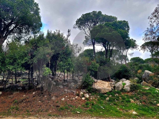 LAND/أرض/ High caliber area/Baabdat/بعبدات ! REF#CN133524 ! — 2