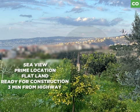 prime location , easily accessible in Safra/الصفراء REF#CO118196