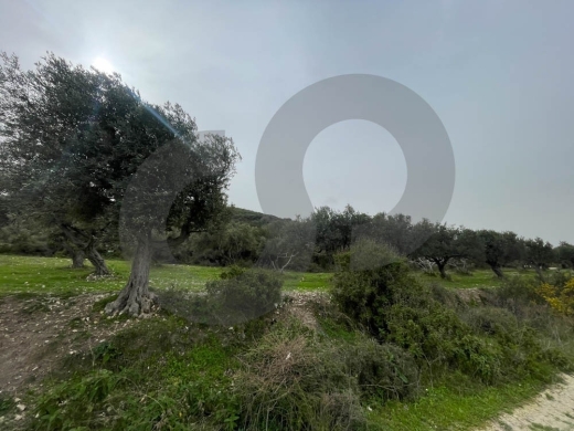 A Land of 2566 sqm , Open Sea View ,Chekka /شكا REF#NI133184 — 3