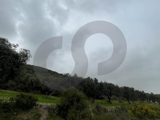 A Land of 2566 sqm , Open Sea View ,Chekka /شكا REF#NI133184 — 7