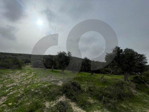 A Land of 2566 sqm , Open Sea View ,Chekka /شكا REF#NI133184 — 5
